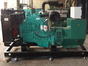 銅陵柴油發(fā)電機(jī)組租賃 如何買(mǎi)專(zhuān)業(yè)的柴油發(fā)電機(jī)組